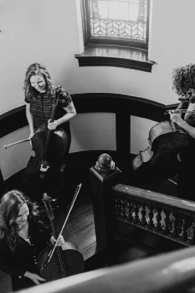 Delphia Cello Quartet, Ensemble